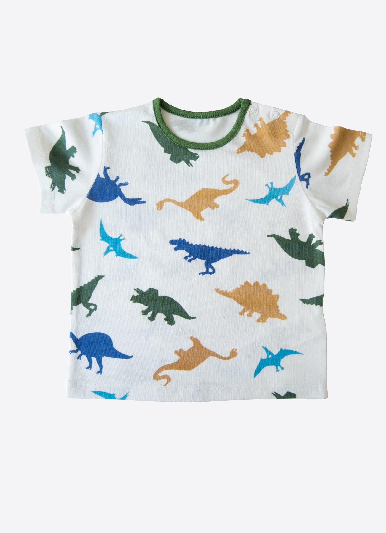 Bio T-Shirt Saurus 2-Teiliges Set