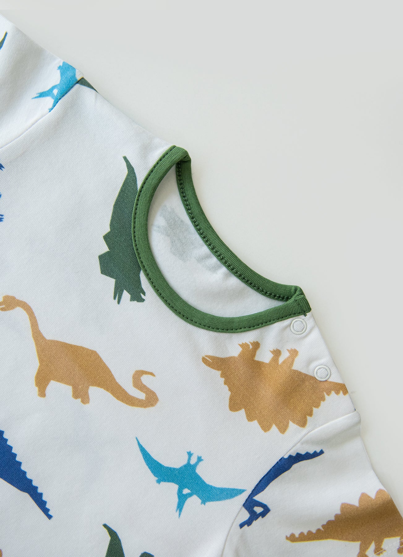 Bio T-Shirt Saurus 2-Teiliges Set