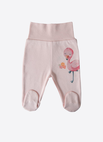 Organic COrganic Flamingo Fußhose 3er-Packhampion Fußhose 3-teiliges Set (Kopie)