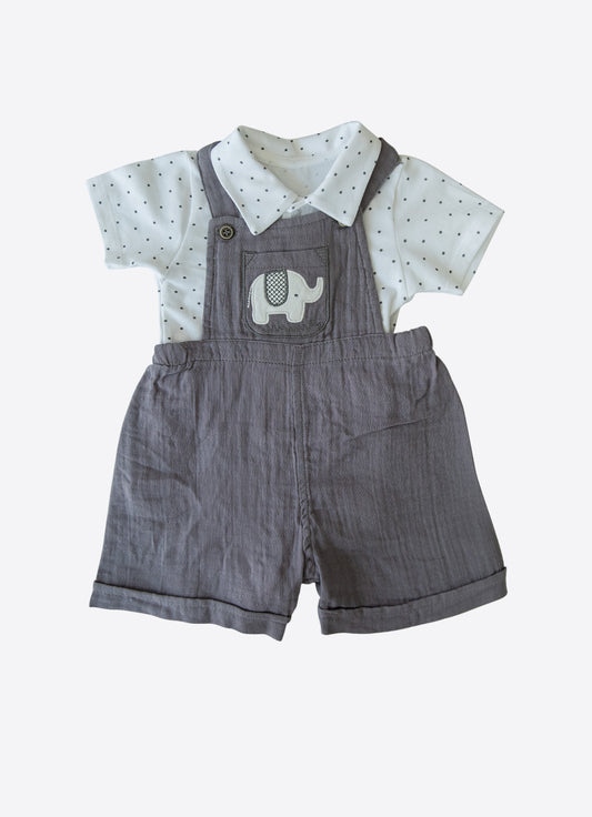 Bio Elefant 2-Teiliges Set
